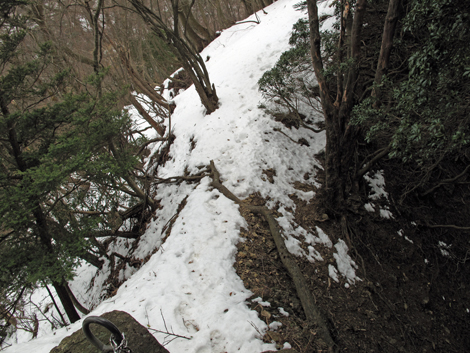 20170113hike (220)